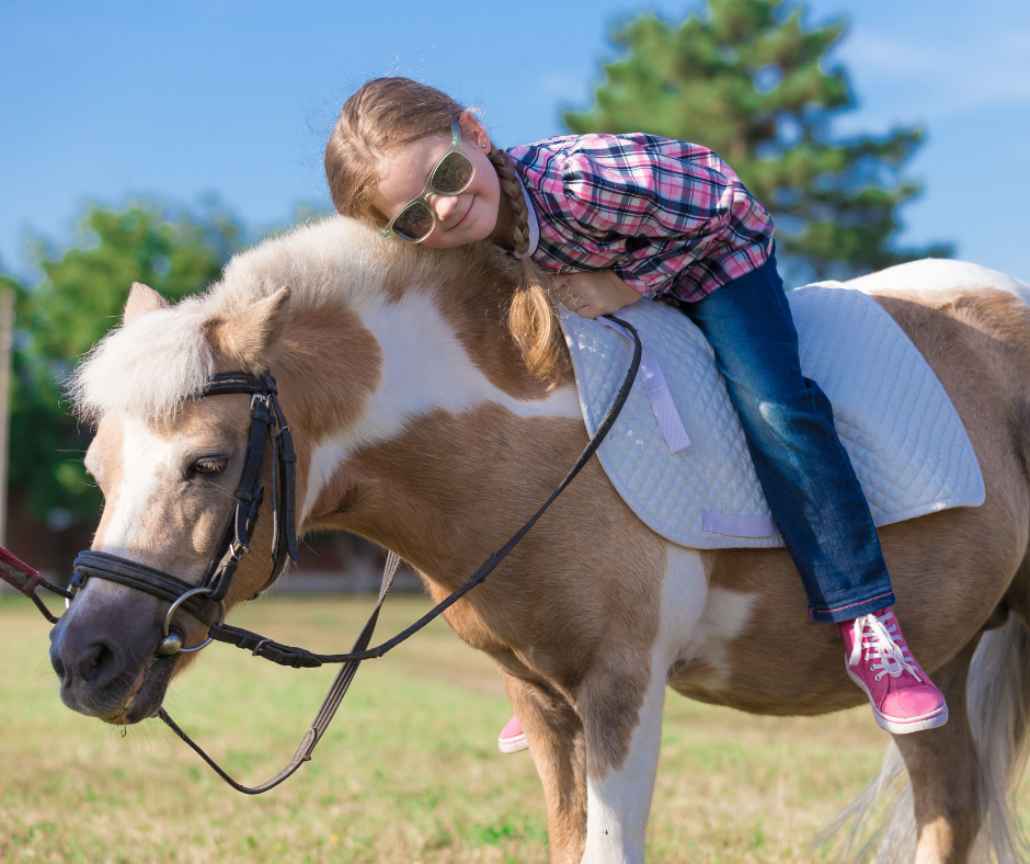 pony parties pony parties