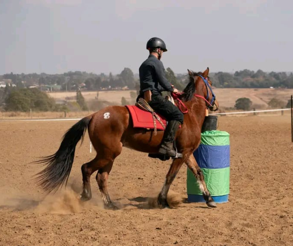 western riding western riding