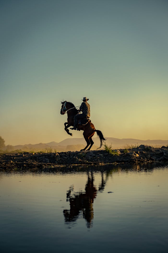 Silhouette of a cowboy on a rearing horse by a river with mountains at sunset.