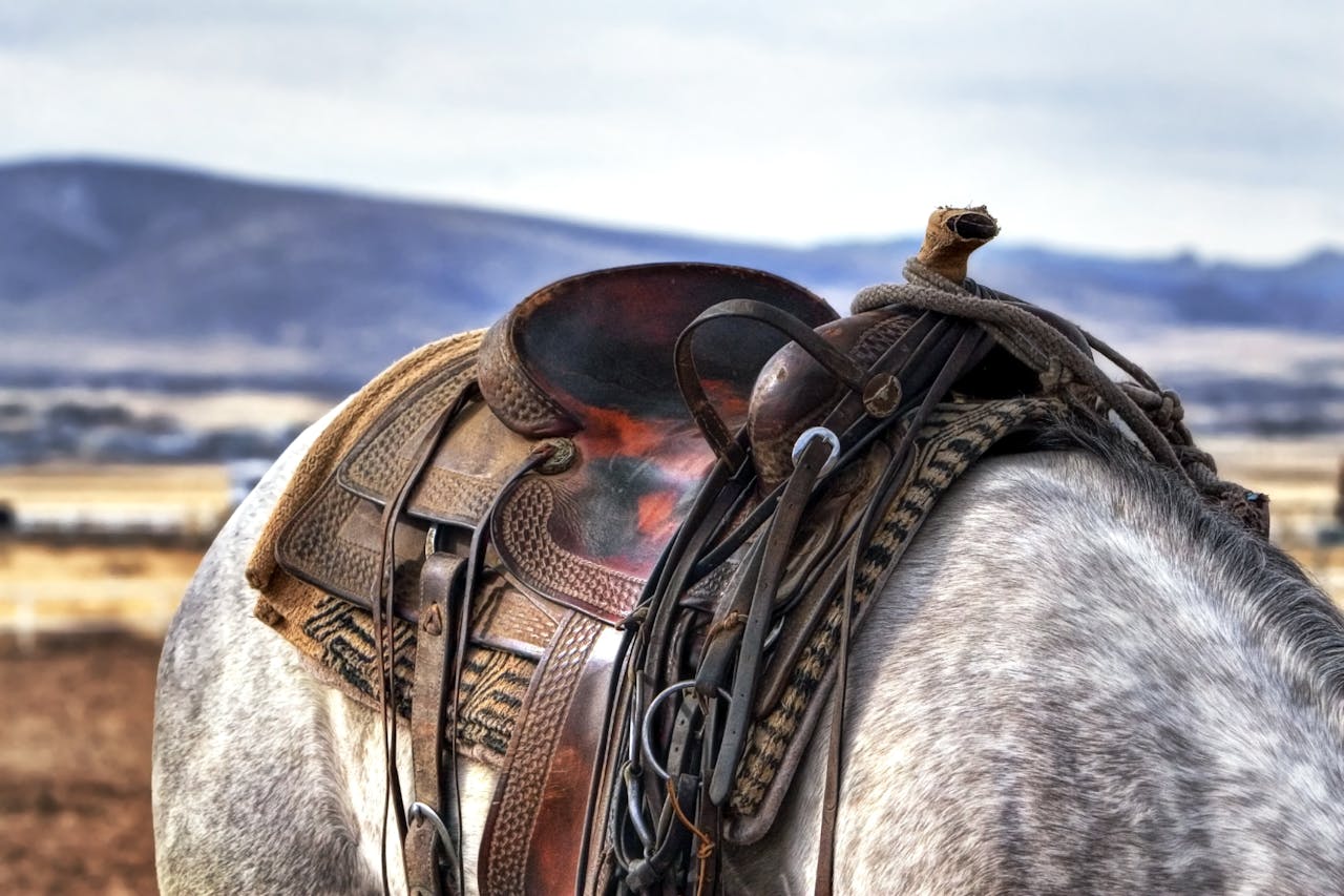 Detailed view of a traditional saddle on a gray horse in a rural outdoor setting.